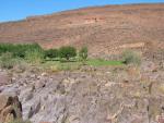 IMG_1315