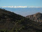 IMG_1229